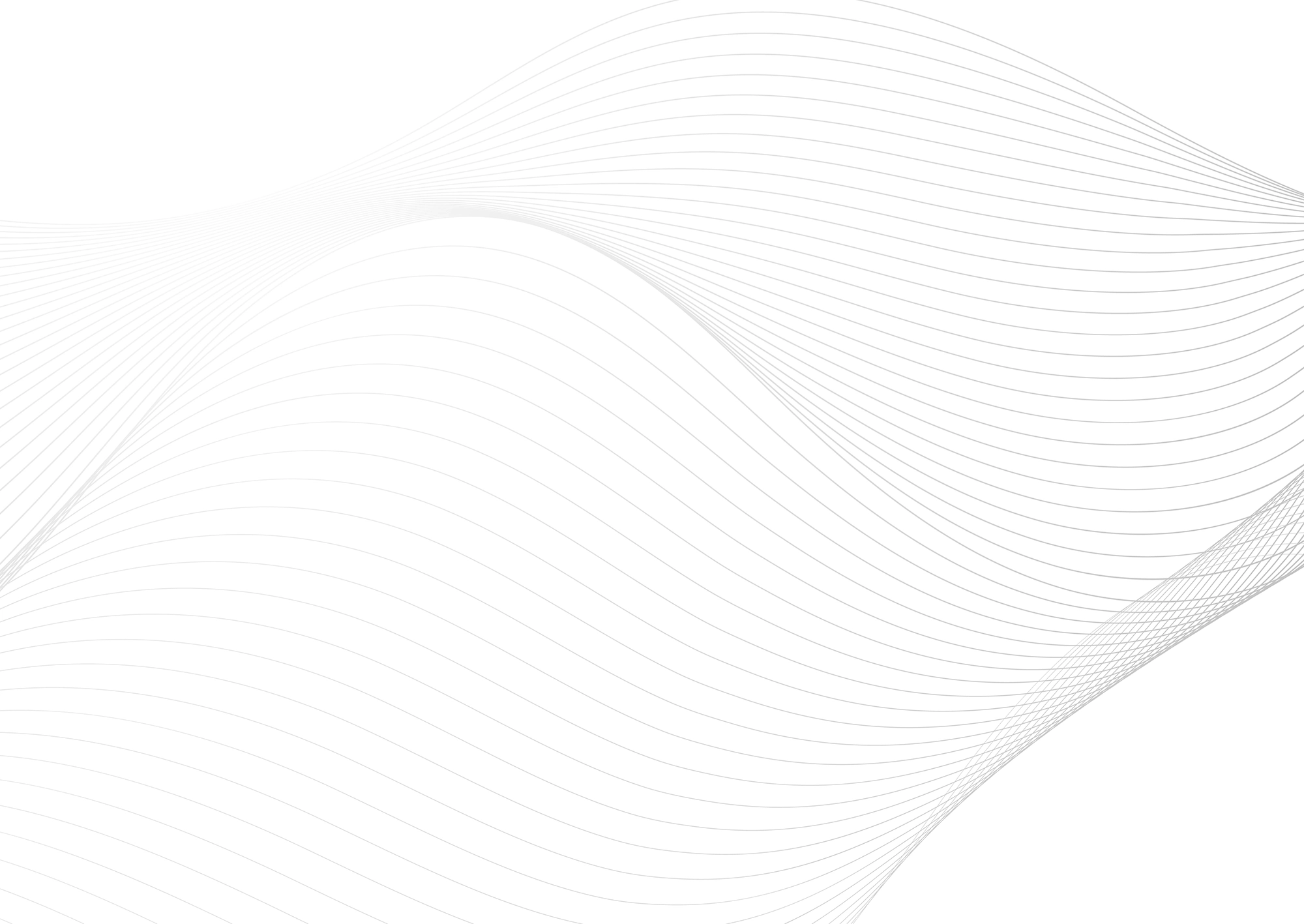 Web Site Tasarımcısı, Marmara