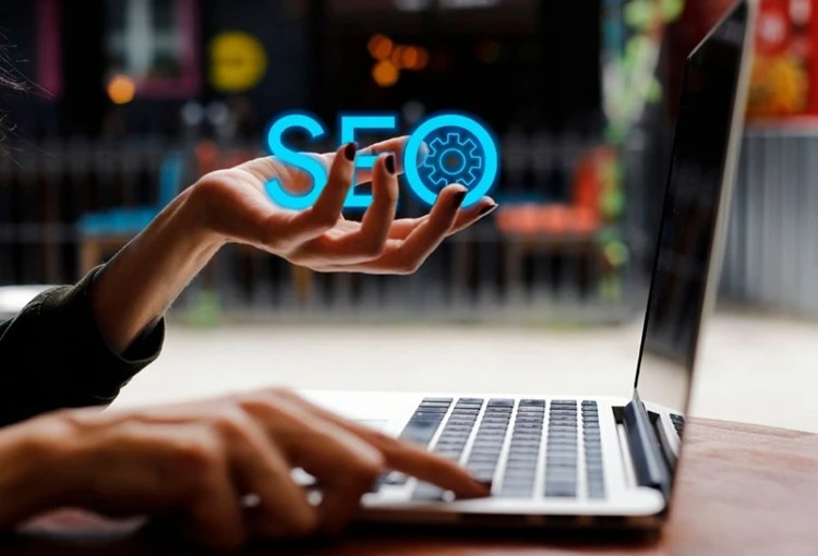 Marmara Web Site Tasarımcı